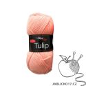 Tulip meruňka