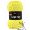 Tulip Big - Vlna Hep