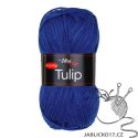 Tulip tmavě modrá